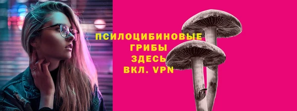 дживик Краснотурьинск