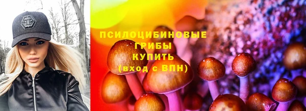 дживик Краснотурьинск
